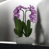 A high quality Double pink orchids arrangement with a vase 8.5&quot; D