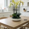 A high quality Seven yellow orchids arrangement with a vase 15.5&quot; D