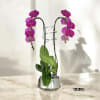 A high quality Double purple orchids arrangement with a vase 9&quot; D