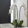 A high quality Double white orchids arrangement with a vase 9&quot; D
