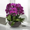 A high quality Seven purple orchids arrangement with a vase 14&quot; D