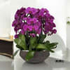 A high quality Nine purple orchids arrangement with a vase 14&quot; D