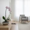 A high quality Single pink orchid arrangement with a vase 10&quot; D