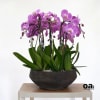 A high quality Ten pink orchids arrangement with a vase 14&quot; D