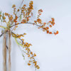 A sweet and simple bundle of bittersweet stems and a died silk.