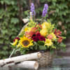 Mums, daisies, roses, alstroemeria, roses, sunflowers...just some fall favorites in a basket.