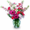 You don&#039;t always need a reason to send someone flowers; sometimes, all
