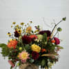 Great mix moody and happy colors , 