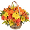 These gorgeous flowers are sure to make them cheer! Featuring a lovely