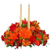 Flowers warmly express your feelings of love and appreciation during special times