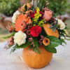 Medium size real pumpkin, designer&#039;s choice fall colors  