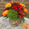A beautiful autumn mix of seasonal chrysanthemums, trick dianthus, mini carnations, fall