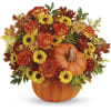 Celebrate the beauty of fall with this colorful, heartwarming mix of roses
