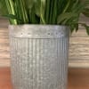 A large, full peace lily about 3-3.5 ft tall in a trendy