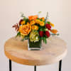 Meet the Mini Autumn arrangement, the perfect little package of autumn cheer.