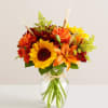 Fields of Europe&reg; Fall