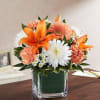 A gentle embrace in floral form, Healing Tears offers a tender expression