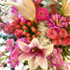 So pretty, this lush little arrangement, presented in a clear glass vase