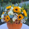 Check out this adorable pumpkin centerpiece for your Thanksgiving table or perfect