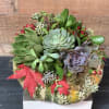 A beautiful natural pumpkin with succulents on top.  Great for offices