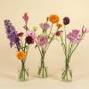 A Nice mix of your choice of color palette this package includes