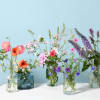 A Nice mix of your choice of color palette this package includes