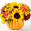 No need to go to the pumpkin patch this year with this