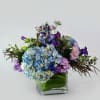 5&quot; sq cube leaf lined and filled with blue hydrangea, lavender stock