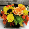 Let us design a fall cube arrangement using our freshest seasonal flowers!