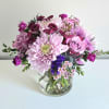 Fresh plum, lavender and purple blooms like long lasting jumbo chrysanthemums, fragrant