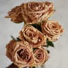 A luxurious and hard to come by garden rose, Toffee roses are