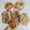 A luxurious garden rose, Golden Mustard roses are the perfect fit for