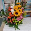 Sunflowers, Spray Roses, Tulips, Alstroemeria, Buttons in a glass container will make