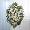White flowers have a peacefulness and purity to them, bringing hope and