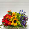 Select this stunning rainbow of flowers in a wooden box. Flowers include
