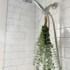 Tied to your shower head, this eucalyptus bundle improves respiratory health (especially