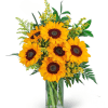 Sunflowers and Love Knots is a captivating flower design that exudes warmth