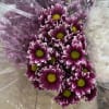 pack of 7 daisy stems wholesale