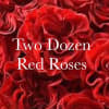 Two Dozen long stemmed red roses arranged in a beautiful vase with