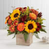 Round arrangement with roses safari sunflowers daises and solidago in a wooden