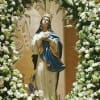 VIRGEN MARY ARCH CAN BE MADE TO CUSTOM DIFFERENT SIZES AVAILABLE PLEASE