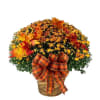 Celebrate the beauty of fall with our Autumn Harvest Mum Basket, featuring