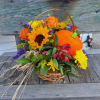 Sunflowers, Orange roses, yellow cushion mums, orange hypericum berries, red alstro,
purple status