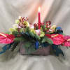 Anthurium , Kangaroo Paw ,Milk Thistle , Cymbidium Orchid 