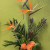 Stunning birds of paradise designed with tropical foliage, orange roses and luchadendron.