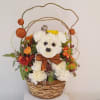 This fun and cute arrangement features Fifi (made of real flowers) with