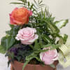 A beautiful dish garden of interesting plants and we have added some