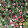 In 2019, Butterfly Wish Bouquets wanted to share their gift of flowers