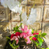 A beautiful blend of white orchids, pink lilies, and red roses! 