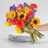 Go gently down the stream under sunflowers and warm roses with our